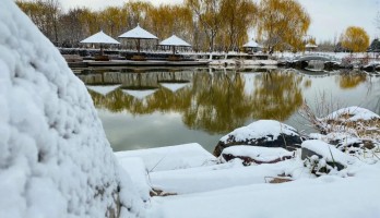 這是20年鳴翠湖遇見的，第一場(chǎng)雪。