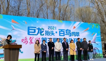 “巨龍?zhí)ь^·百鳥鳴翠”2021第三屆鳴翠湖龍?zhí)ь^開湖節(jié)正式啟幕！
