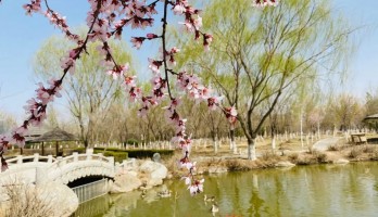 花開正好，攥住春光到鳴翠湖踏青吧！